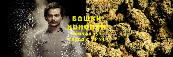 ПСИЛОЦИБИНОВЫЕ ГРИБЫ Семёнов